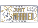 Just Married | Wedding Decorations | Newly Weds
